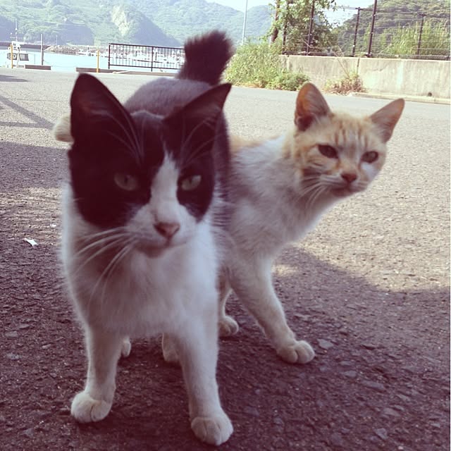 mobiri57さんの実例写真
