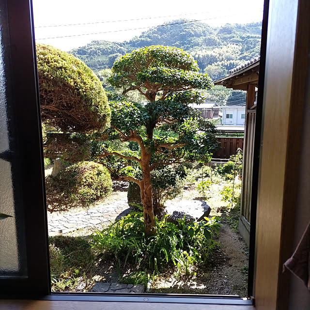 kuririnmamaさんの実例写真