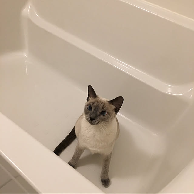 niko-25さんの実例写真