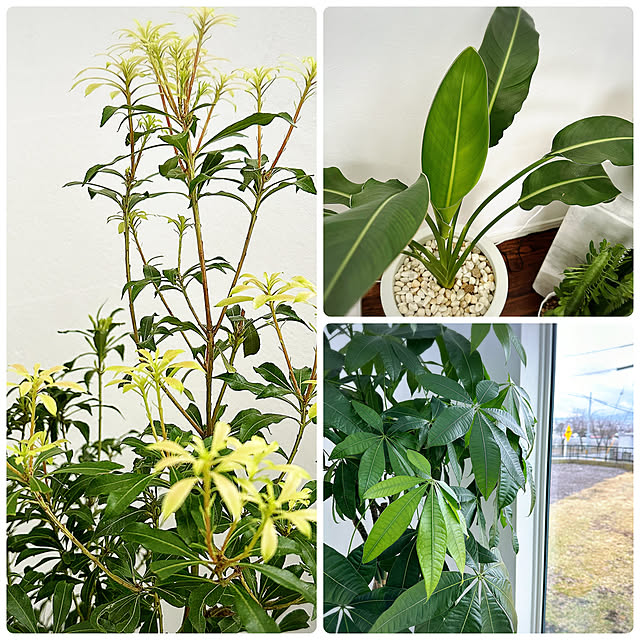hanahana1444さんの部屋