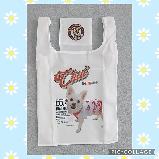 PAOさんの部屋