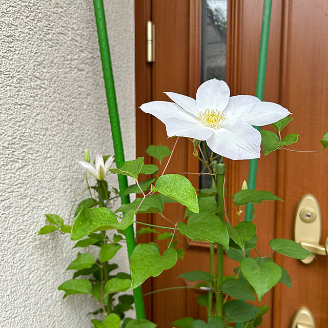 fumikoiさんの部屋