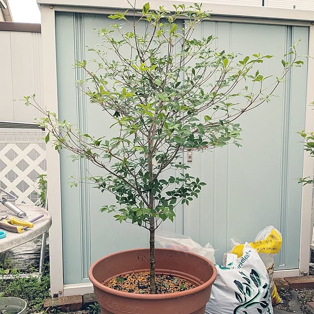 Bienvenueさんの実例写真