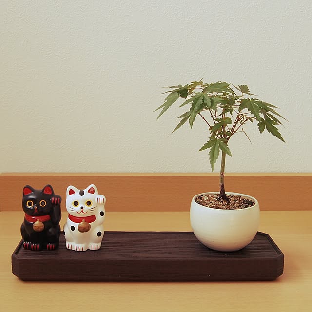 wankorolinさんの実例写真