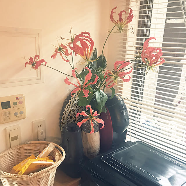 観葉植物/キッチンのインテリア実例 - 2019-08-04 17:13:16