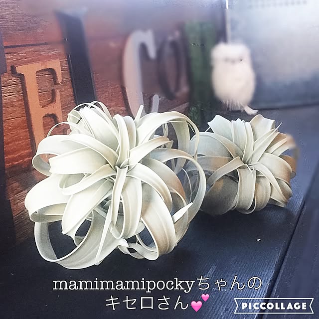 natulove0418さんの実例写真