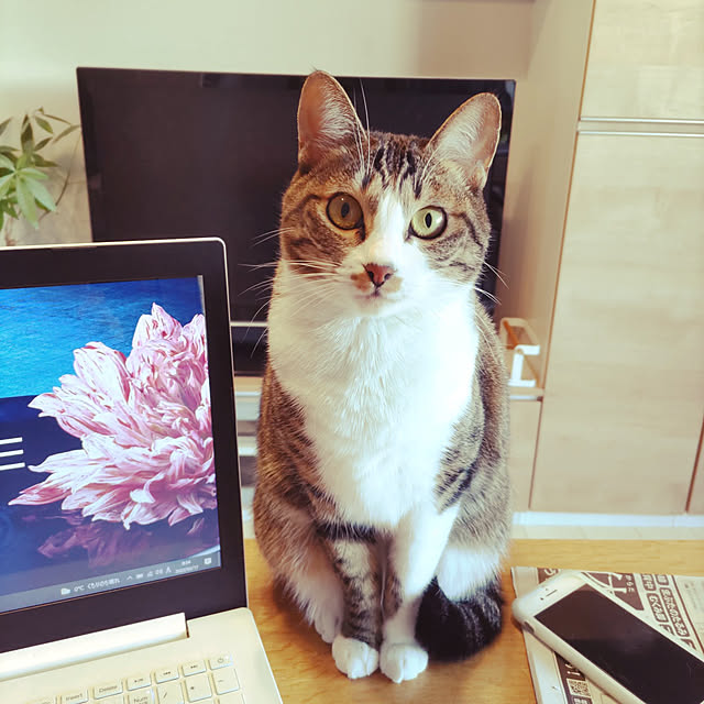 hanacocoさんの実例写真