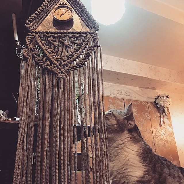 emmyyさんの実例写真