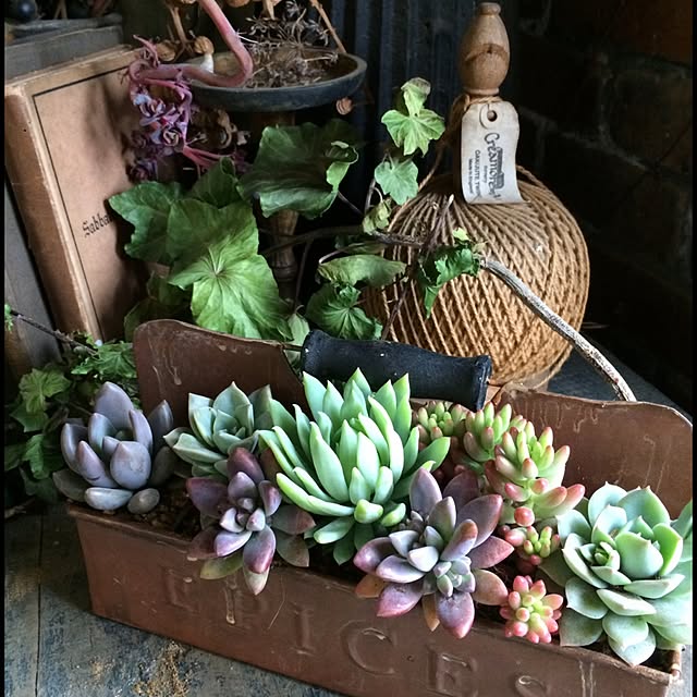 nagiさんの実例写真