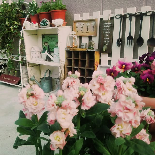 makimakiさんの実例写真