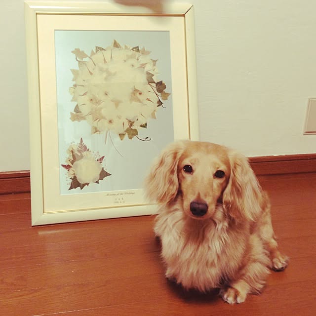 keikoさんの実例写真