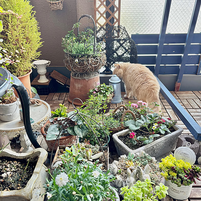 naokoさんの実例写真