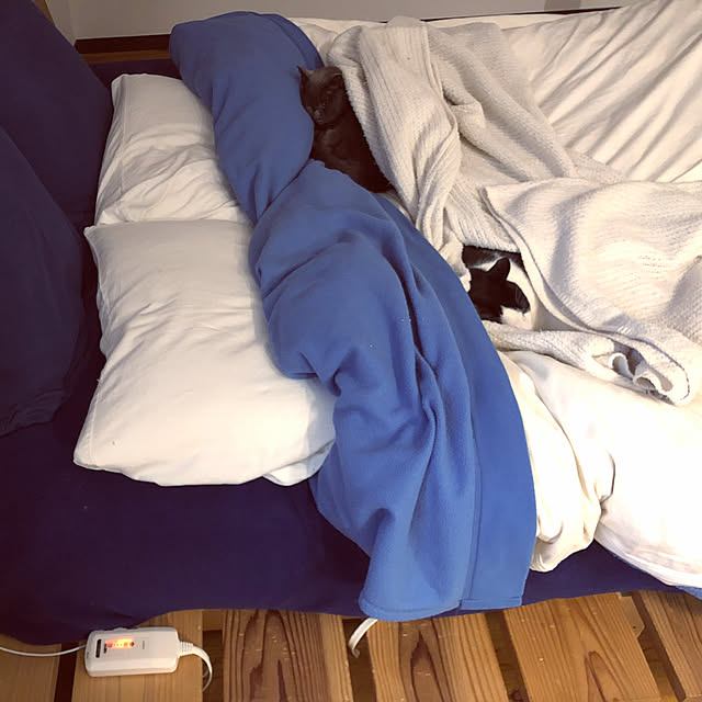 slowlife1130さんの実例写真