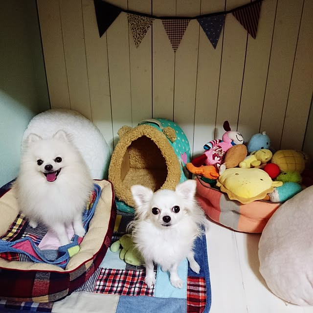 yukaさんの実例写真