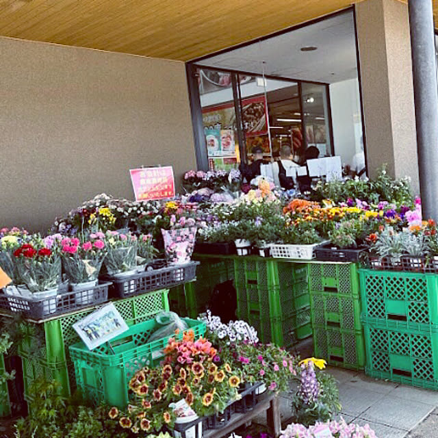 hanachanさんの部屋