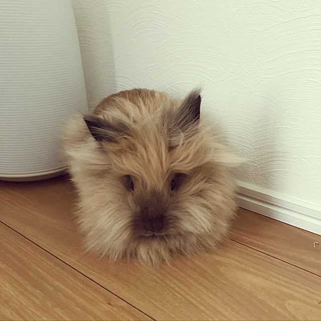 mさんの実例写真