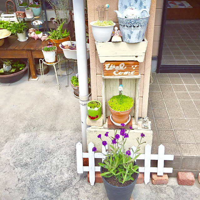 takakoさんの実例写真