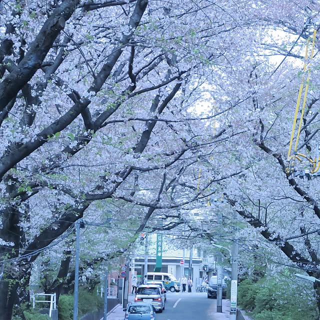 実例写真