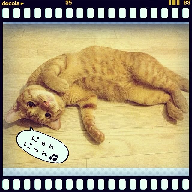 n-sanさんの実例写真