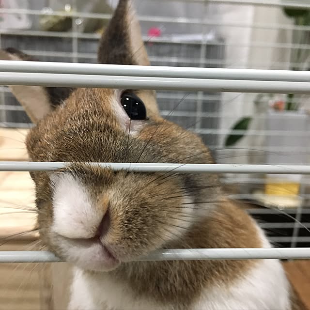 muratataさんの実例写真
