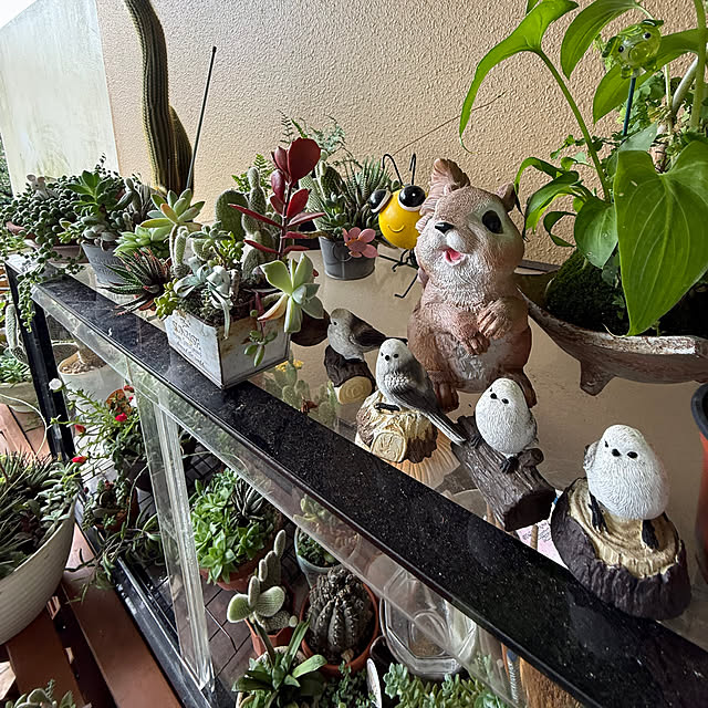 Aqettyさんの部屋