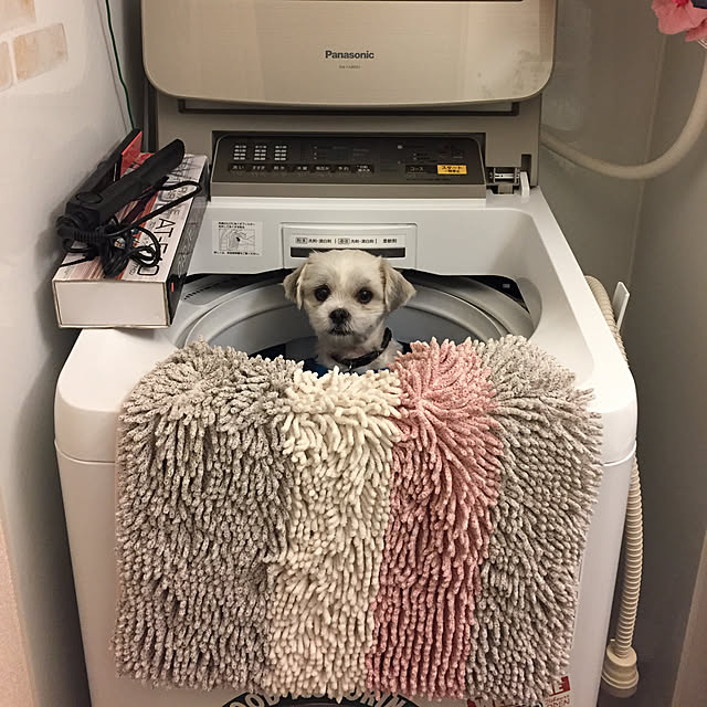 emiさんの実例写真