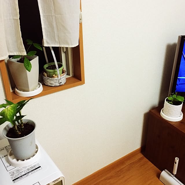chansaichansaiさんの実例写真