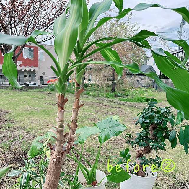 hanahana1444さんの部屋