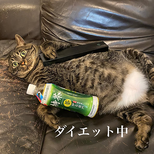 MIHさんの実例写真