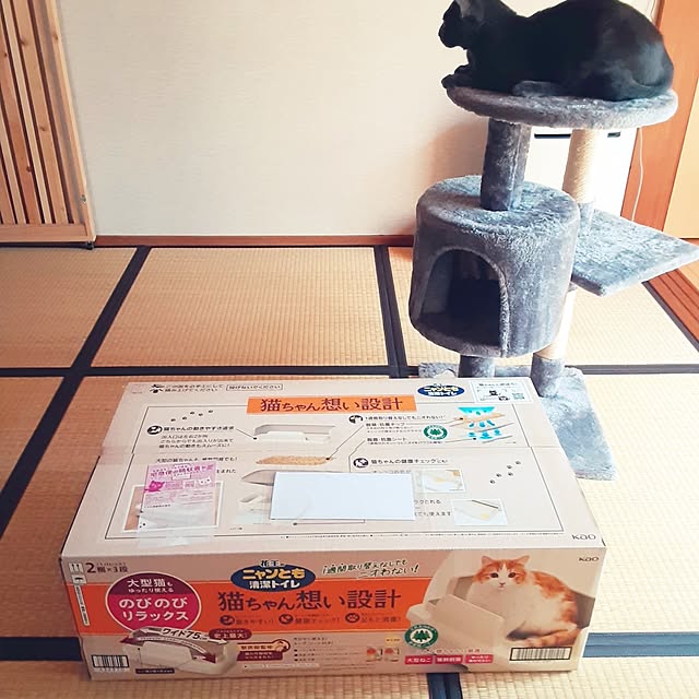 meguさんの部屋