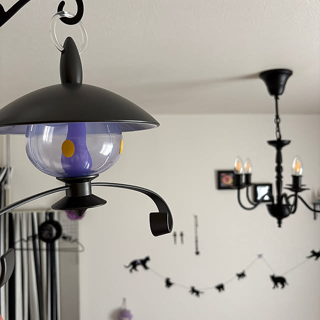 Dorotheaさんの実例写真