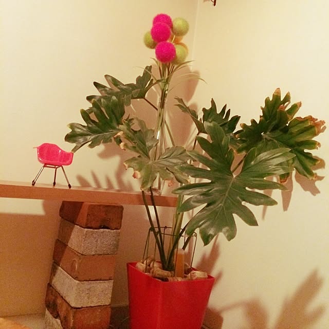 meipinpinmeiさんの実例写真