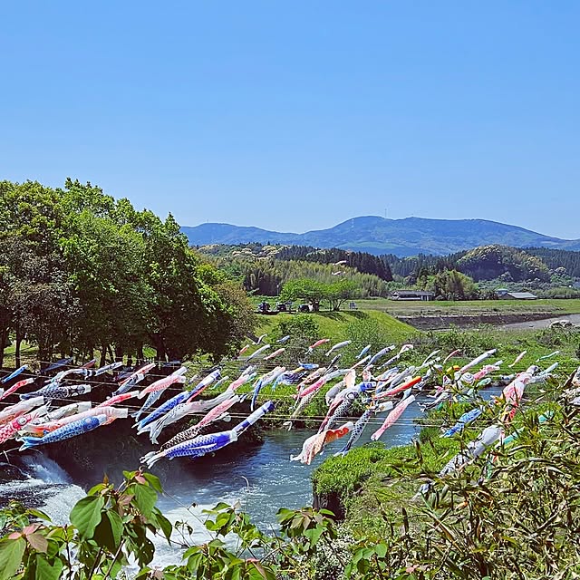 mocomocoさんの部屋