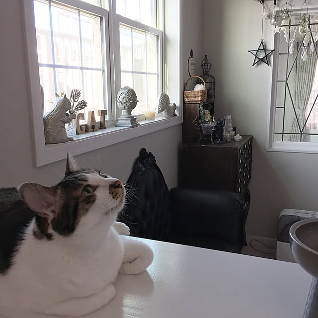 yuchiさんの実例写真