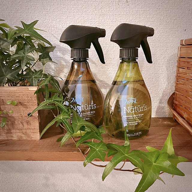 mocoさんの実例写真