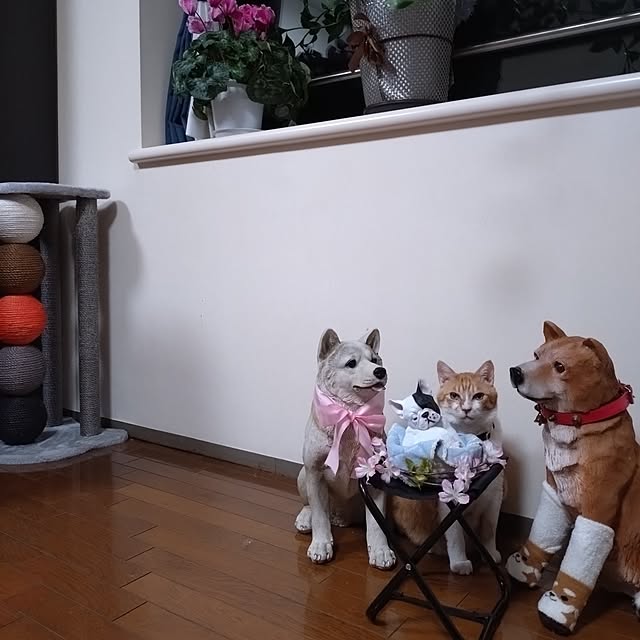 NOAHさんの実例写真