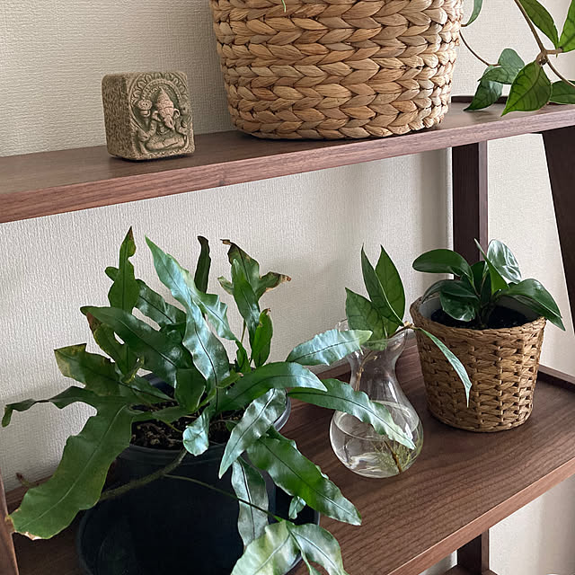 matthewさんの部屋