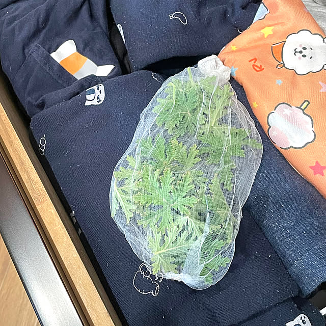 SIELUさんの部屋