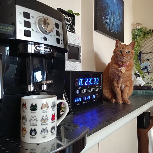 NOAHさんの実例写真