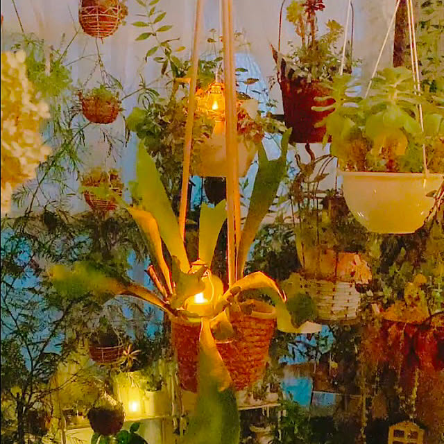 Hanakaさんの部屋