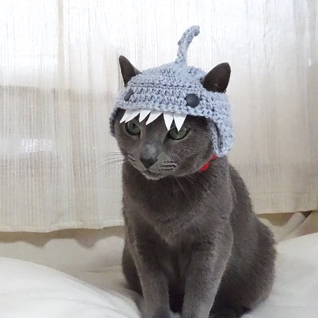 may10さんの実例写真