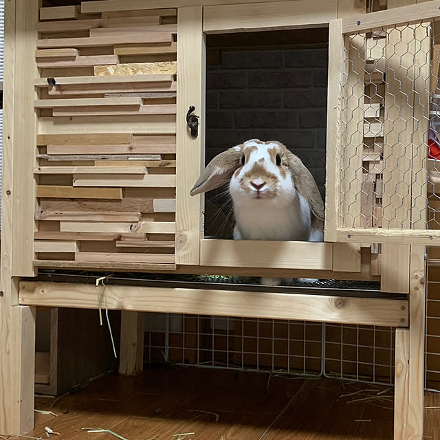 RABIHAさんの実例写真