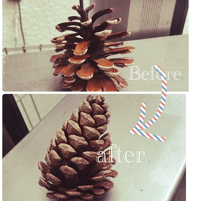 usagi223さんの実例写真