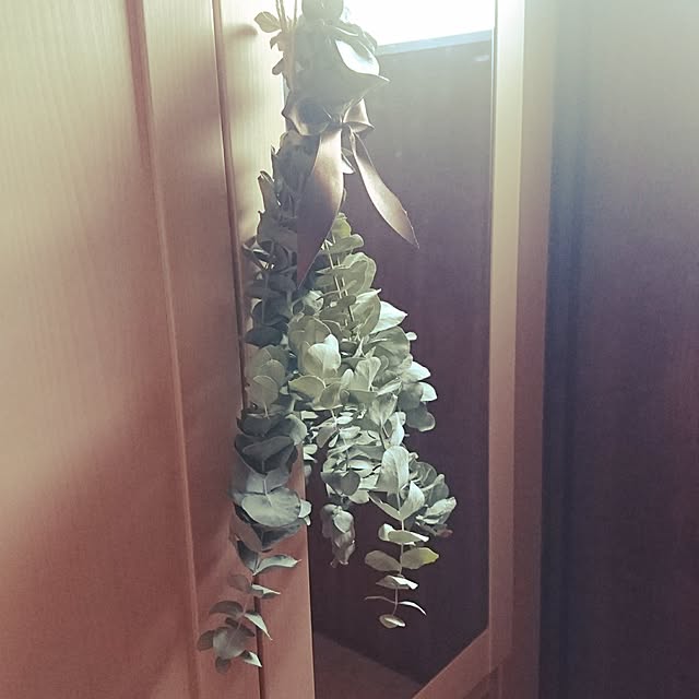 moku2さんの実例写真