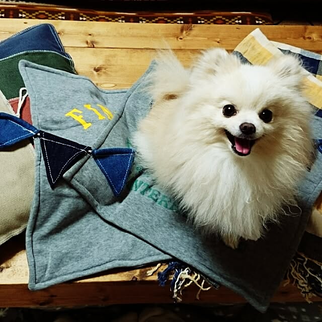 yukaさんの実例写真
