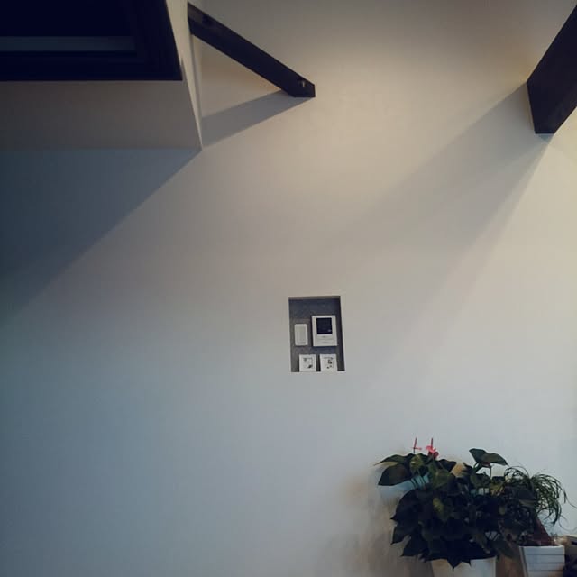 riiさんの実例写真
