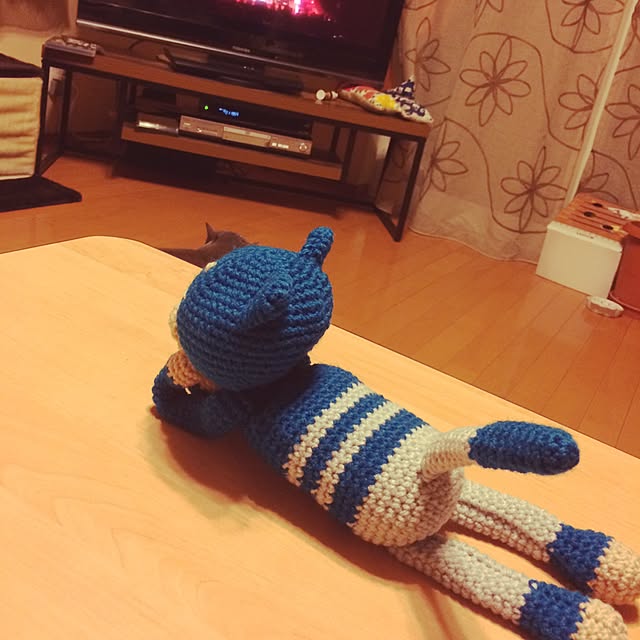 Yokoさんの実例写真