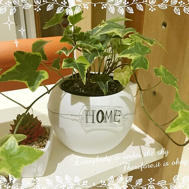 rukkaさんの実例写真