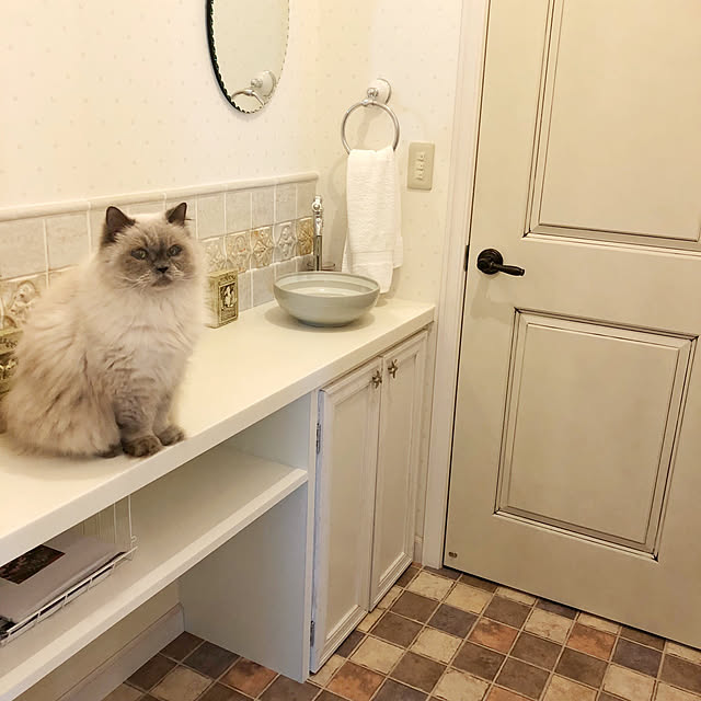 yuchiさんの実例写真