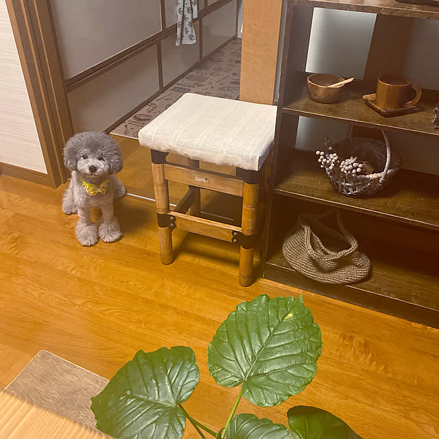meguko.ryanさんの実例写真